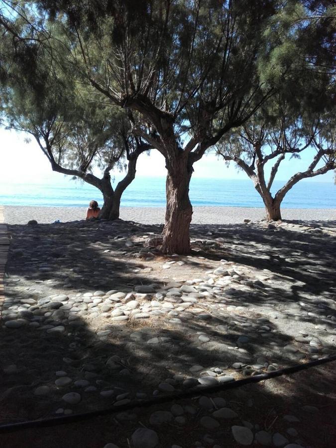 Pericles Traditional Cretan Home Sztavrohóri Kültér fotó